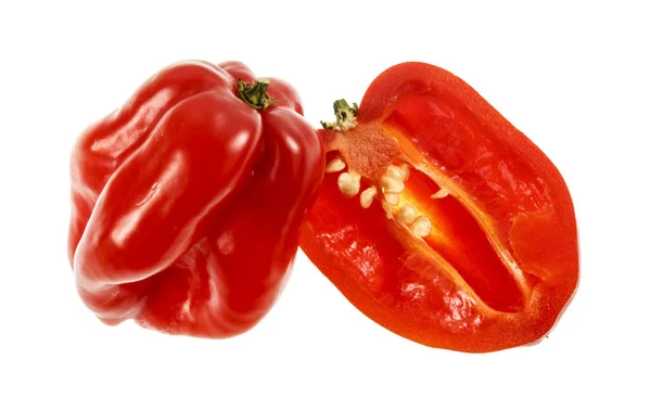 Chili biber kırmızı Habanero — Stok fotoğraf