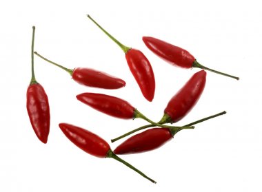 Kuşlar göz veya Tay Chili, küçük ölçekli chili biber çeşidinde Capsicum annuum türlerin var. Burası çok sıcak Etiyopya ve Güneydoğu Asya (iştah açıcı) bir çiçek aroması, yaygın olarak bulunan