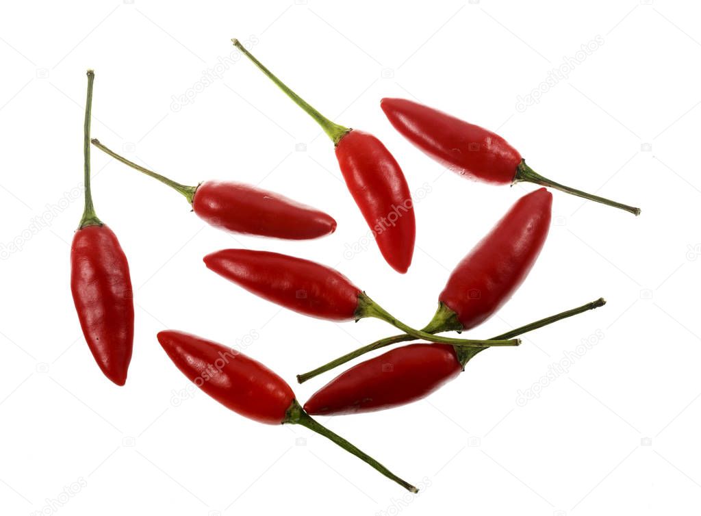 The Birds Eye, or Thai Chili, is a small sized chili pepper cultivar of the species Capsicum annuum. It is very hot (piquant) with a floral aroma, commonly found in Ethiopia and Southeast Asia