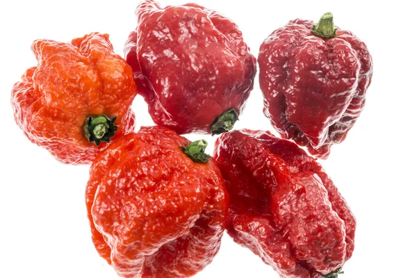 Carolina Reaper Jest Średniej Wielkości Papryka Chili Gatunku Capsicum Chinense — Zdjęcie stockowe