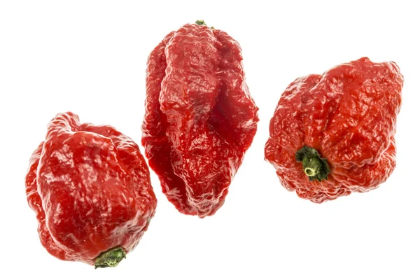 Carolina Reaper Peperoncino Medie Dimensioni Della Specie Capsicum Chinense Rosso — Foto Stock