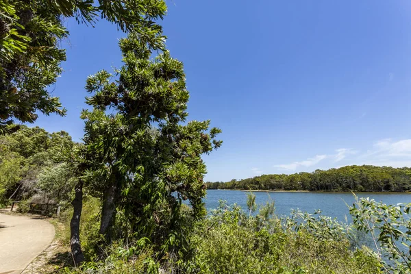 Currimundi bäck som rinner ut i havet — Stockfoto