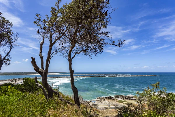 Yamba Clarence River Mouth — 스톡 사진