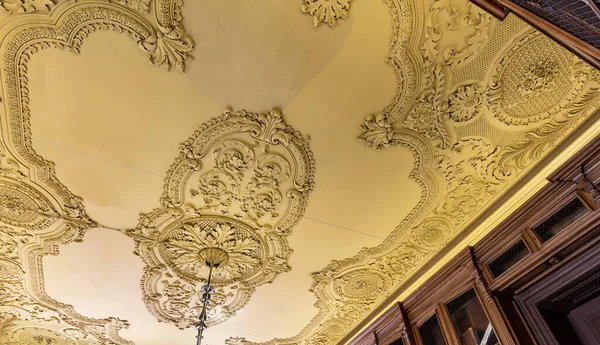 Détail Des Nombreux Motifs Plafond Palais Des Comtes Azambuja Bairro — Photo