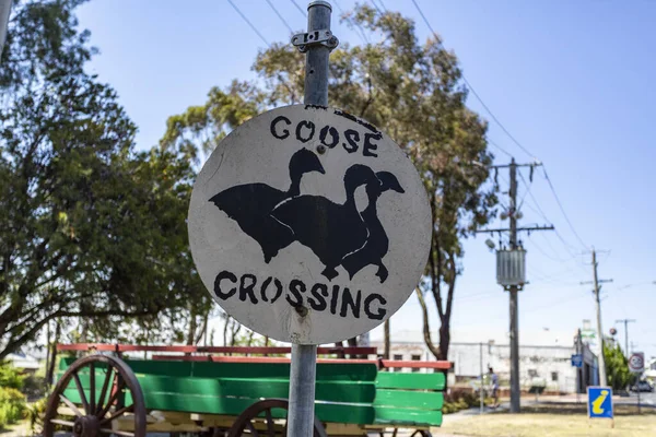 View Unique Interesting Street Sign Indicating Street Crossing Goose Local — Stock Photo, Image