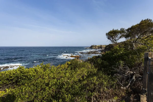 View Beautiful Coastline Wagonga Head Narooma New South Wales Australia — Stock Photo, Image