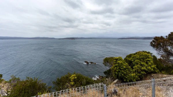 Panoramic View Rugged Cliffs Nsw South Coast Eden Australia — Stock Photo, Image