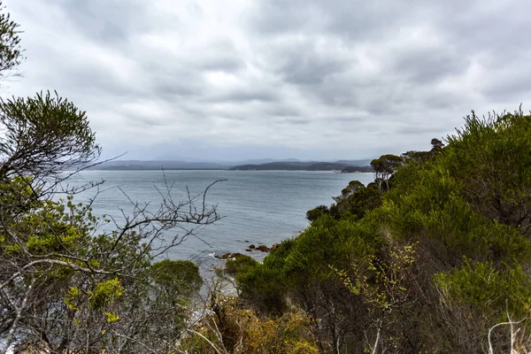 Panoramatický Výhled Členité Útesy Jižního Pobřeží Nsw Eden Austrálie — Stock fotografie