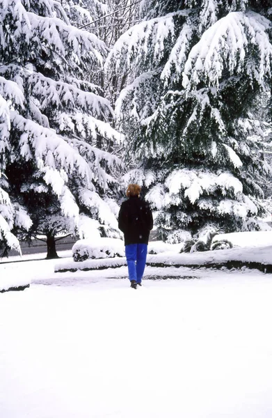 Vinter snö utomhus. — Stockfoto