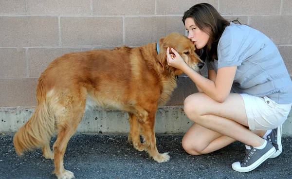 Female and dog. — Stock Photo, Image