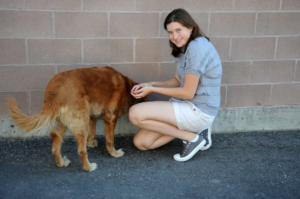 Female and dog. — Stock Photo, Image