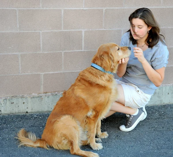 Hembra y perro . — Foto de Stock