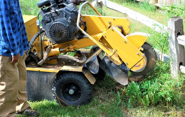 Tree stump machine. — Stock Photo, Image