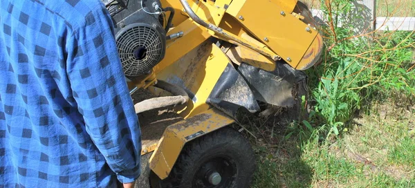 Machine à souche d'arbre . — Photo