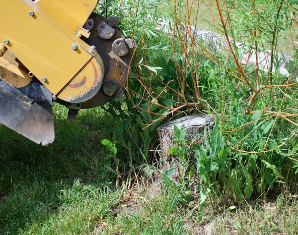 Trädet stump maskin. — Stockfoto