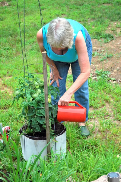 Ώριμη γυναίκα κηπουρός. — Φωτογραφία Αρχείου