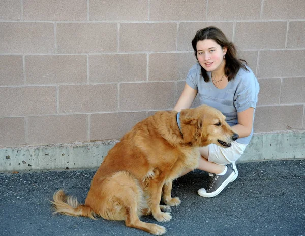 Mujer Belleza Vinculación Con Golden Retriever Aire Libre — Foto de Stock