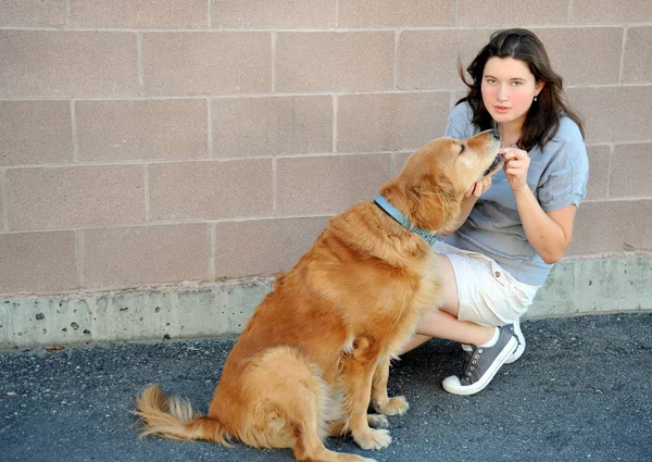 Female Beauty Bonding Her Golden Retriever Outdoors — Stock Photo, Image