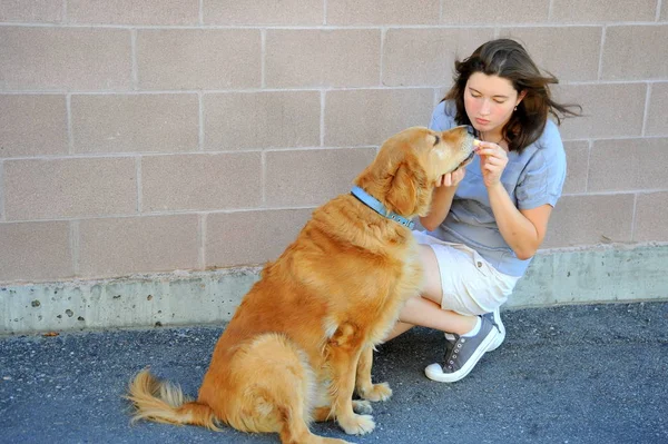 Female Beauty Bonding Her Golden Retriever Outdoors — Stock Photo, Image