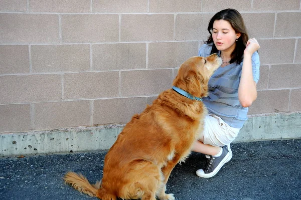 Mujer Belleza Vinculación Con Golden Retriever Aire Libre — Foto de Stock