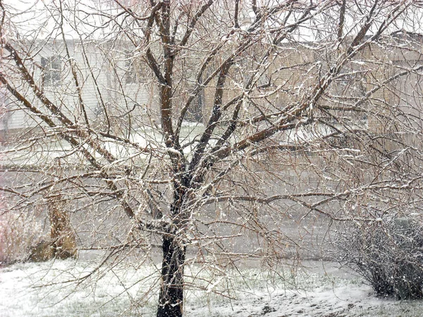 野外冬季降雪季节 — 图库照片