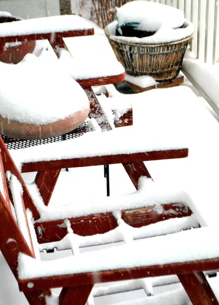 冬の雪が自然の中で屋外に表示 — ストック写真
