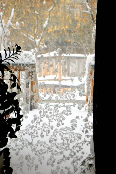 Neve Inverno Exibido Natureza Livre — Fotografia de Stock