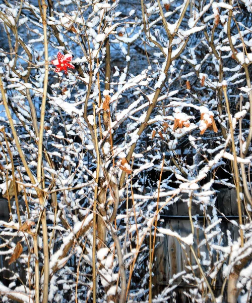 Neige Hivernale Dans Nature Exposée Extérieur — Photo