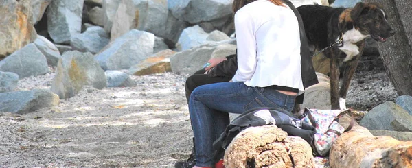 Hombre Mujer Sentados Las Rocas Aire Libre Con Perro — Foto de Stock