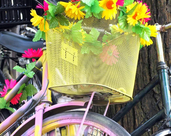 Blume Korb Auf Einem Fahrrad Amsterdam Niederlande — Stockfoto