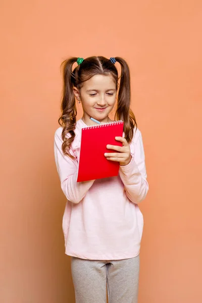 Chica sonriente con dos colas de caballo sosteniendo un cuaderno — Foto de Stock