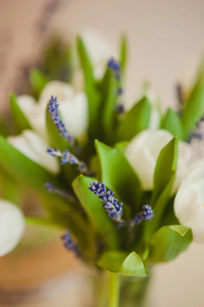 Bouquet White Tulips Lavender — Stock Photo, Image