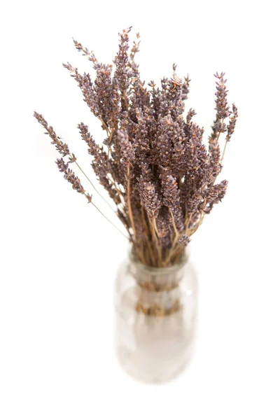 Fascio Lavanda Secca Vaso Vetro Trasparente Fondo Bianco — Foto Stock