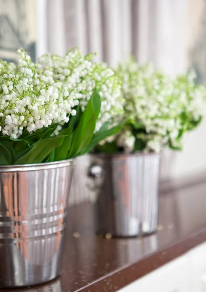 Lily Valley Bucket — Stock Photo, Image