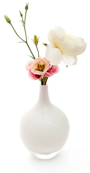 Fleurs Roses Blanches Dans Vase — Photo