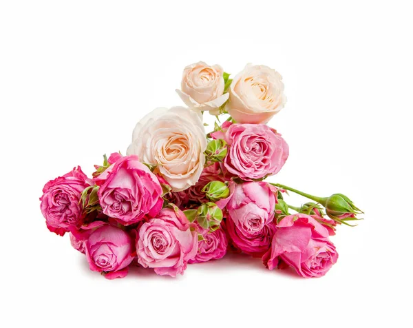 Рожева Квітка Троянди Над Білим — стокове фото