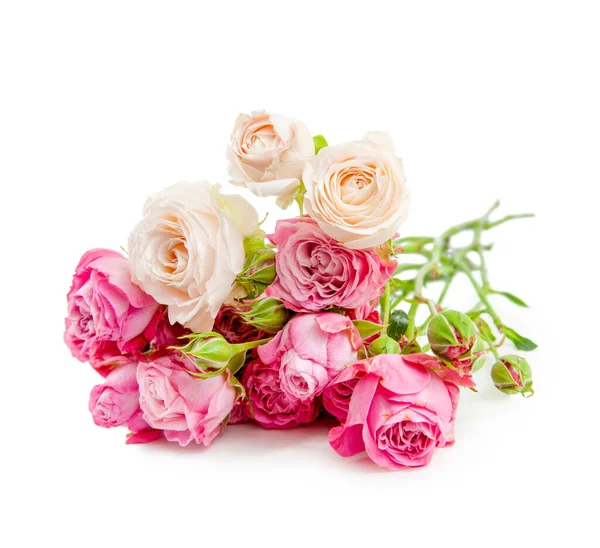 Ροζ Τριαντάφυλλο Λουλούδι Πάνω Από Λευκό — Φωτογραφία Αρχείου