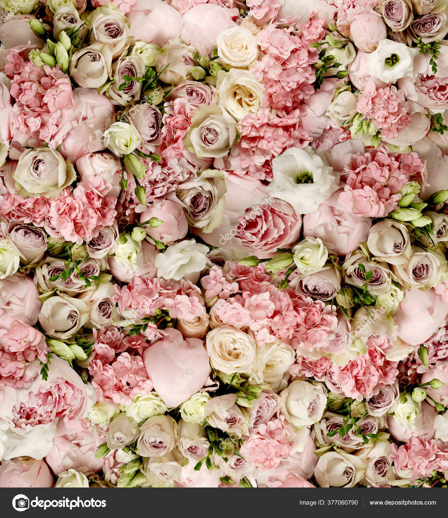 バラとピンクのウェディング花束 ストック写真 C Julieboro