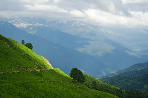 Abcházie. Horská louka. — Stock fotografie