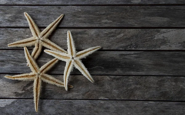 Estrella de mar en fondo de madera — Foto de Stock