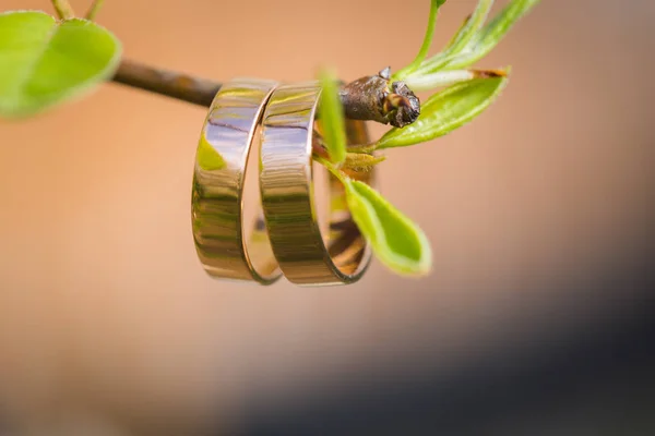 Snubní prsteny closeup s kytkami — Stock fotografie