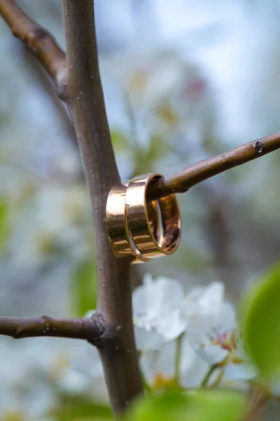 Snubní prsteny closeup s kytkami — Stock fotografie