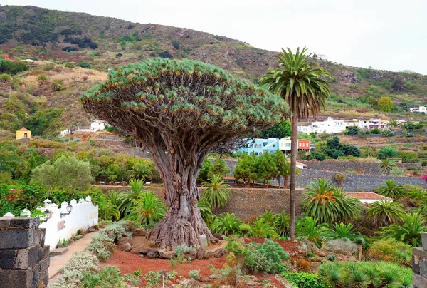 Vulkan Mount Teide auf Teneriffa — Stockfoto