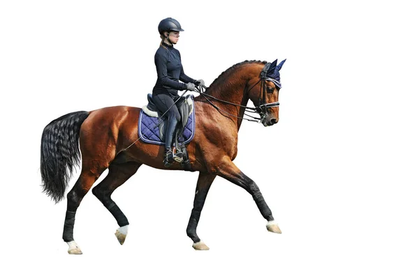 At binen kadın binici, beyaz arka planda izole edilmiş.