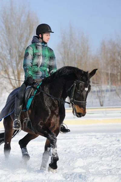 Montar Caballo Entrenamiento Invierno —  Fotos de Stock