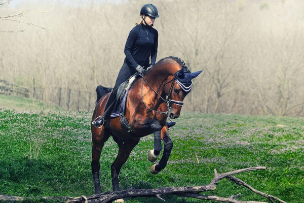 Female Dressage Rider Bay Horse Having Fun Field — Stock Photo, Image