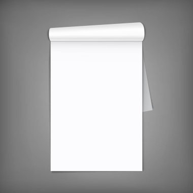 Haddelenmiş sayfaları boş dergiyle. A4