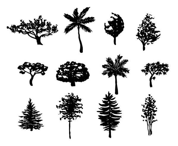 Bosque árboles siluetas conjunto — Archivo Imágenes Vectoriales