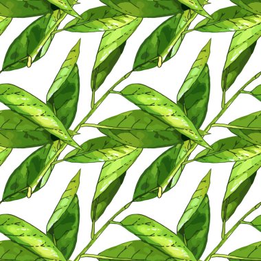 El şube yeşil yaprakları seamless modeli ile çekilmiş