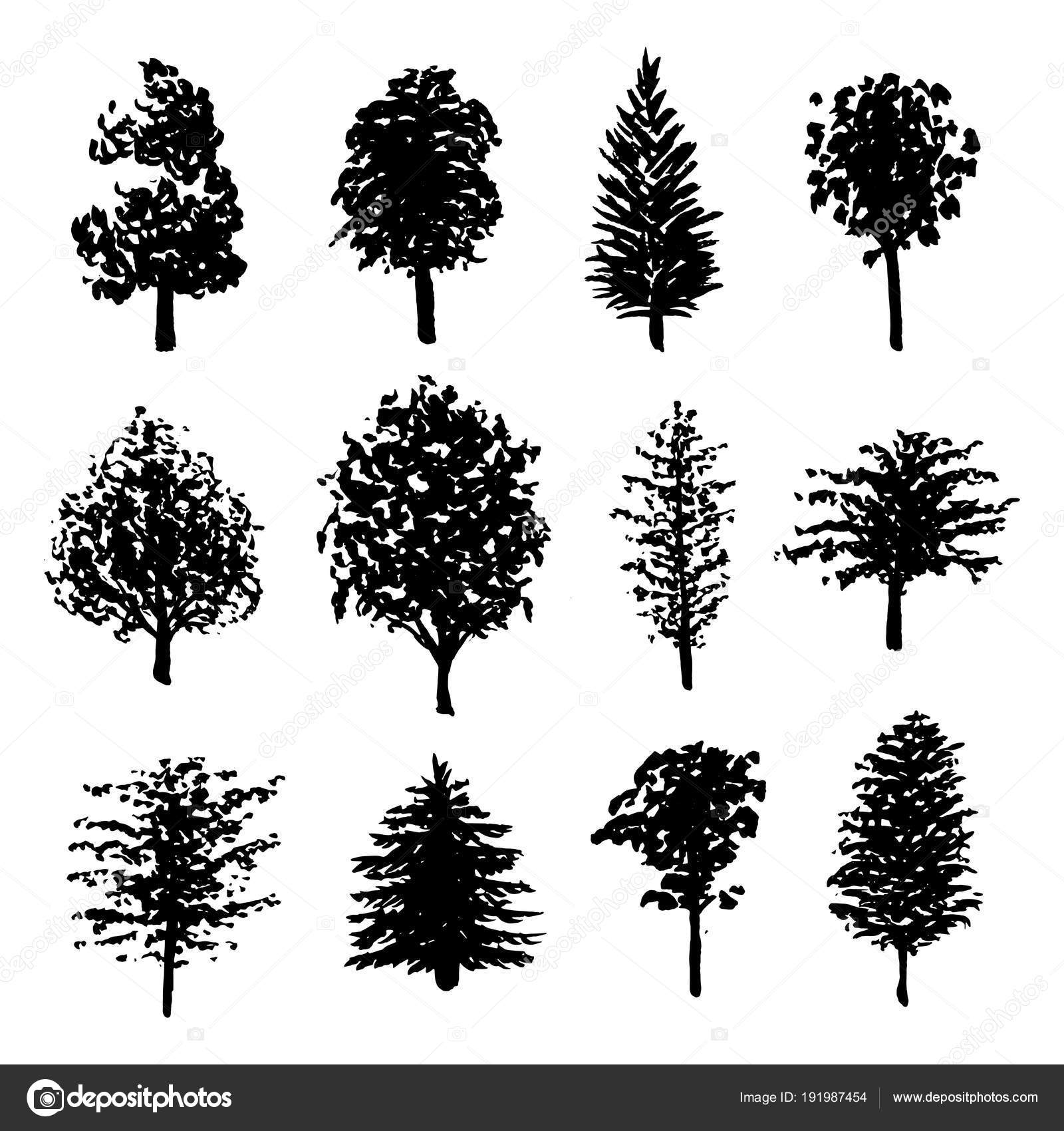 Download Forest trees silhouettes set — Stock Vector © de-kay ...